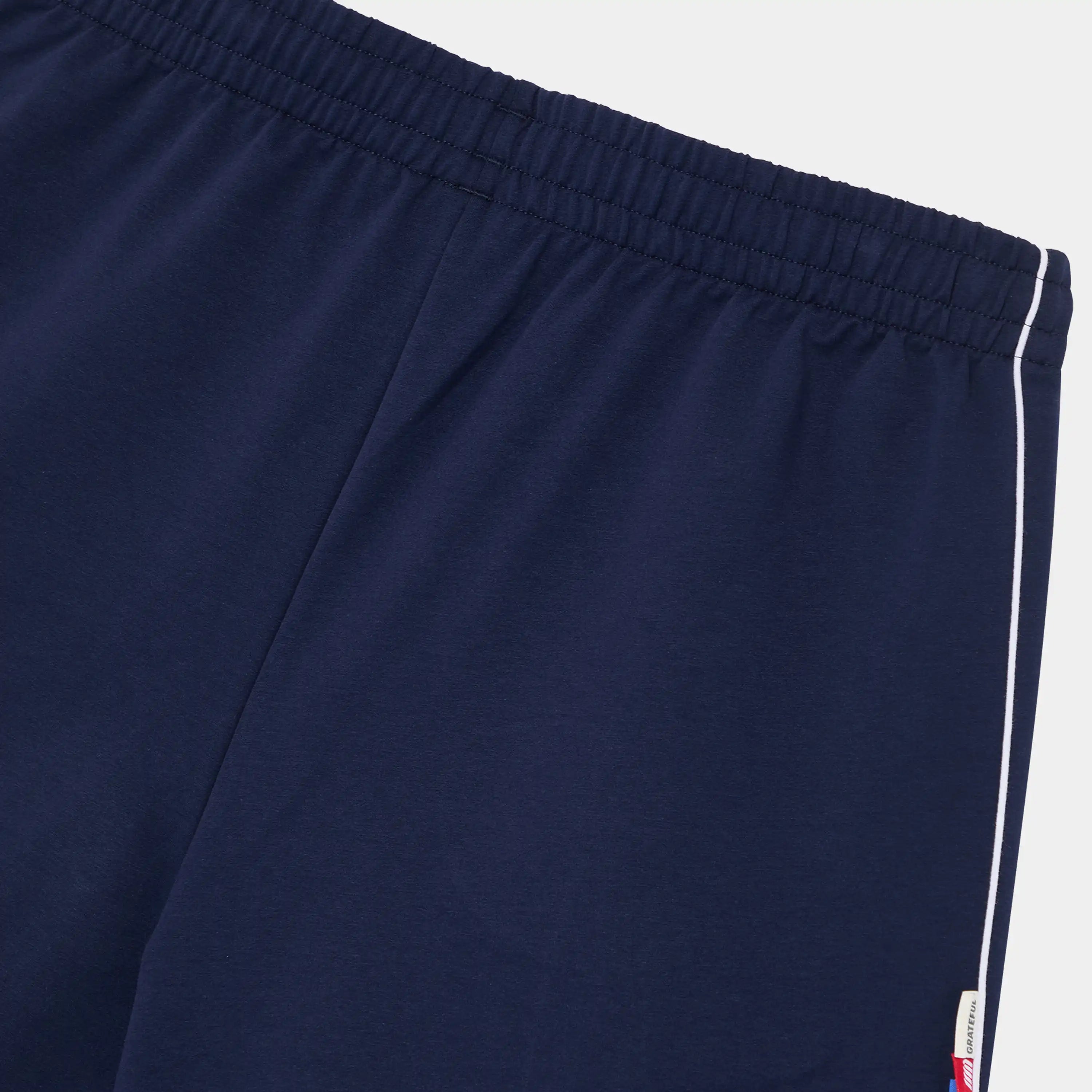 Somm Navy Shorts